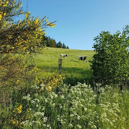 Auw Farm Life Escape, Cleaning Included Auw bei Prum